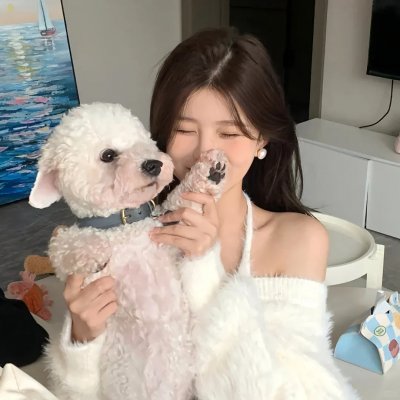 奇妙仙子：冬森林的秘密